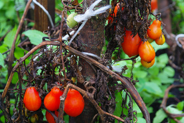 Similar image 1067467