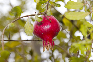 Similar image 1067471