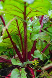 Similar image 1067476