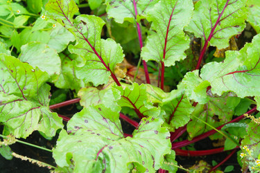 Similar image 1067477