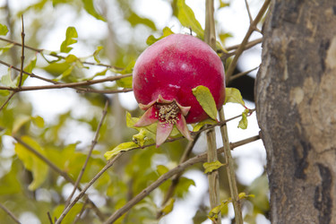 Similar image 1067478