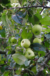 Similar image 1067482