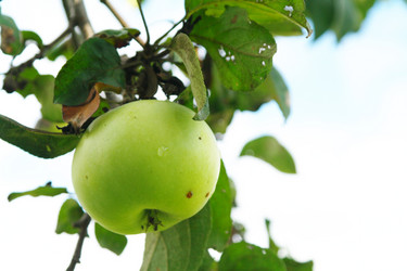 Similar image 1067484