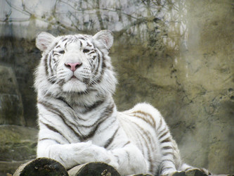 Similar image 1067486