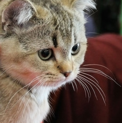 Similar image 1067501