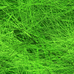 Similar image 1067587