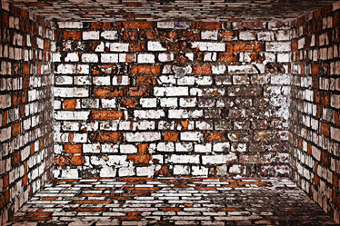 Similar image 1067706