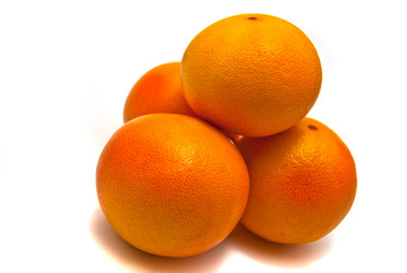 Similar image 1067745