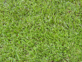 Similar image 1067757