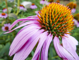 Similar image 1067761