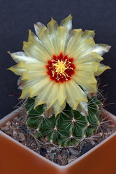 Similar image 1067764