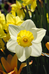 Similar image 1067766