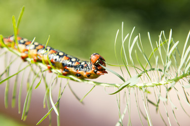 Similar image 1067770