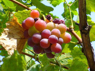 Similar image 1067791