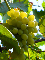 Similar image 1067793