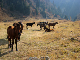 Similar image 1067850