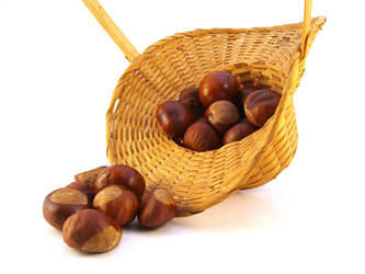 Similar image 1067853