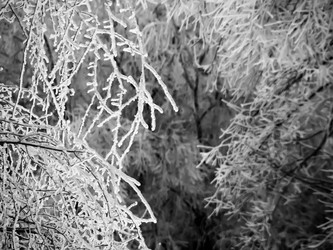 Similar image 1067928