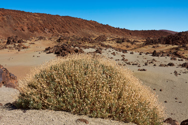 Similar image 1067934