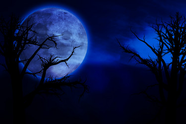 Similar image 1067938