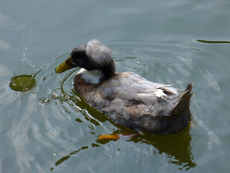 Similar image 1067947