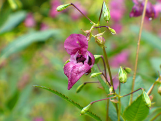 Similar image 1067972