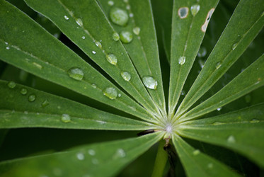 Similar image 1068334