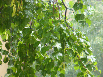 Similar image 1068414