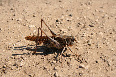 Similar image 1068496