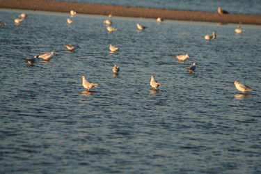 Similar image 1068506