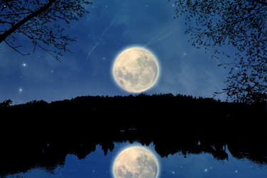 Similar image 1068553