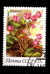 Similar image 1068557