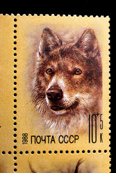 Similar image 1068558