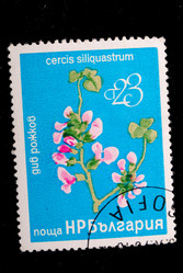 Similar image 1068559