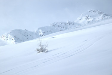 Similar image 1068566