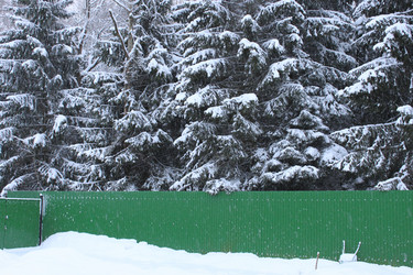 Similar image 1068843