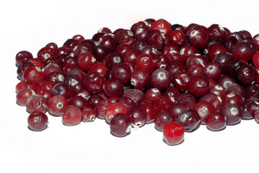 Similar image 1069120