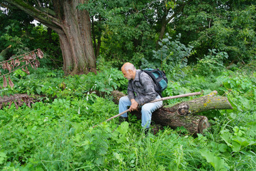 Similar image 1069134