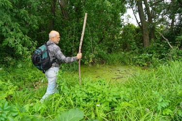 Similar image 1069136