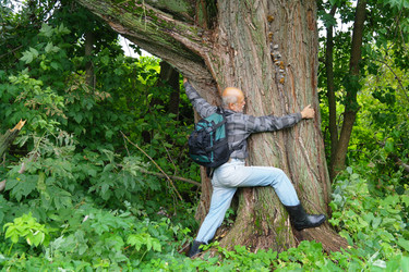 Similar image 1069143