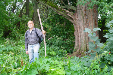 Similar image 1069145