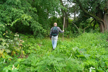 Similar image 1069150