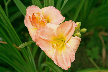 Similar image 1069200