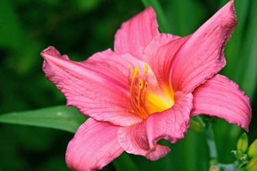 Similar image 1069202