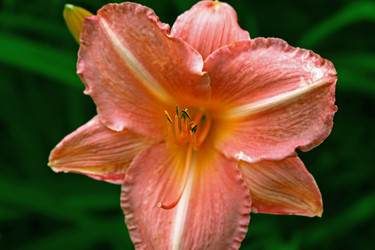 Similar image 1069203