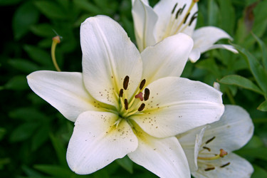 Similar image 1069205