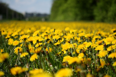 Similar image 1069209