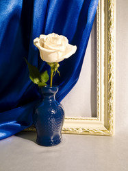 Similar image 1069219