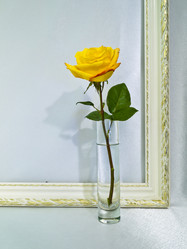 Similar image 1069220