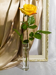 Similar image 1069224